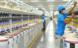 Quảng Ninh: “Hút” 15.000 tỷ đồng vào khu công nghiệp, khu kinh tế