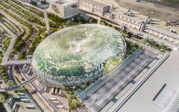 Thiết kế mới của sân bay quốc tế Changi: Thác nước trong nhà cao nhất thế giới và khu rừng nhân tạo sẽ khiến bạn choáng ngợp