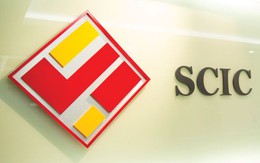 SCIC tổ chức Roadshow bán vốn cổ phần VCG, FPT, BMP, NTP, DMC trong ngày 16-17/11
