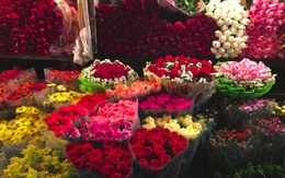 Chợ hoa đêm Quảng An rộn ràng dịp 8.3