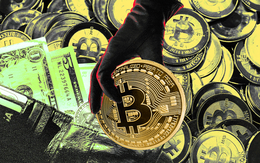 Những dấu hiệu đầu tiên cho thấy bitcoin sắp kết thúc trong bi kịch!
