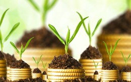 5 nguyên tắc cơ bản nhà đầu tư phải biết để đầu tư thành công