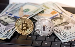 Tăng giá mạnh gấp 10 lần bitcoin, đây mới là "quán quân" tăng giá phá đỉnh của thị trường tiền số