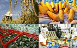 Ngành nông nghiệp nỗ lực đạt mục tiêu tăng trưởng 3,05%