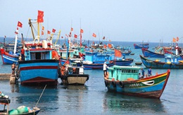 Ngăn chặn tình trạng khai thác hải sản trái phép ở vùng biển nước ngoài