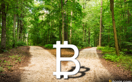 1/8 - "Ngày Phán Xử của bitcoin" và những điều nhà đầu tư cần biết