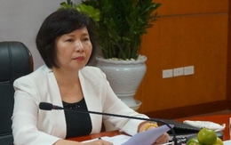 Làm rõ việc bổ nhiệm, quản lý tài chính nơi Thứ trưởng Hồ Thị Kim Thoa từng công tác