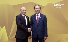 Hình ảnh Chủ tịch nước đón các lãnh đạo các nền kinh tế APEC