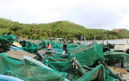 Nước mắt ở làng nghề nuôi trồng thủy sản sau bão dữ