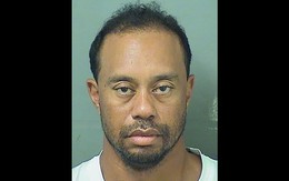 Tiger Woods có thể phải trả giá bằng 20 triệu USD vì bị cảnh sát bắt