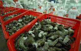 Bộ trưởng Nguyễn Xuân Cường lo lắng về xuất khẩu tôm và cá tra