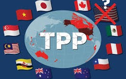 Từ Washington sang Tokyo, TPP 2.0 không Mỹ và có Việt Nam ngày càng rõ nét