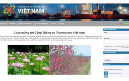 Ra mắt cổng thông tin hỗ trợ doanh nghiệp: Website thân thiện, dễ dùng, đầy đủ mọi thông tin về thương mại Việt Nam