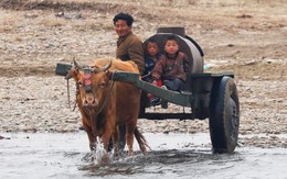 11 bức ảnh ấn tượng về cuộc sống ở biên giới Trung Quốc – Triều Tiên