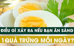 Ăn sáng bằng một quả trứng mỗi ngày cơ thể sẽ thay đổi thế nào?