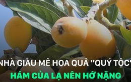 Mê hoa quả "quý tộc", hám của lạ, nhà giàu Việt hớ nặng