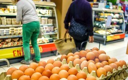 Nông dân và các nhà bán lẻ Hà Lan chật vật với bê bối trứng "bẩn"