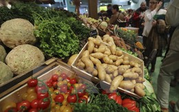 FAO: Nhu cầu lương thực toàn cầu sẽ tăng chậm lại trong 10 năm tới