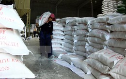 Xuất khẩu gạo có nhiều tín hiệu lạc quan sau thời gian dài trầm lắng
