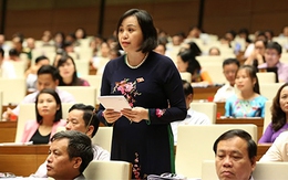 Tuần này, QH biểu quyết về sân bay Long Thành