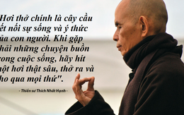 Thiền sư Thích Nhất Hạnh hướng dẫn vượt qua trầm cảm bằng cách ngồi thiền đúng!