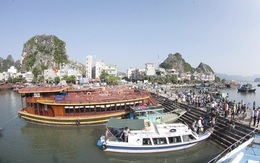 Thủ tướng cho phép Quảng Ninh lập đặc khu kinh tế Vân Đồn