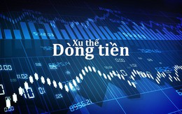 Xu thế dòng tiền: 1.000 điểm trong tầm tay?