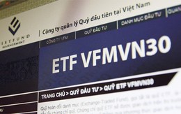 Chứng chỉ quỹ ETF nội đầu tiên tại Việt Nam tăng mạnh hơn VN-Index trong 6 tháng đầu năm