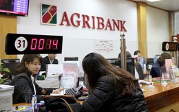 Agribank thông báo bán Công ty cho thuê tài chính I