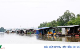 Nguy cơ xóa sổ làng cá bè trên sông Đồng Nai