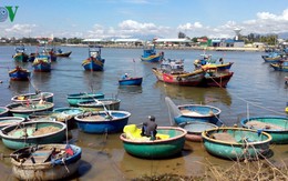 Ngư dân Bình Thuận đánh bắt gần bờ cho thu nhập cao
