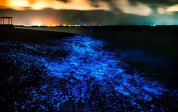 Tận hưởng màn đêm lung linh huyền ảo và vẻ đẹp kỳ ảo của tự nhiên bên bãi biển phát sáng Maldives