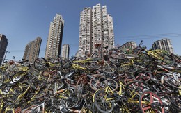 Xe đạp chất thành núi như rác và tương lai tăm tối của ngành công nghiệp chia sẻ xe đạp Trung Quốc