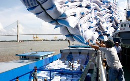 Xuất khẩu gạo quý 1 giảm: Doanh nghiệp “đón gió” nhầm hướng