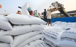 Xuất khẩu gạo không còn là "át chủ bài" của ngành nông nghiệp Việt