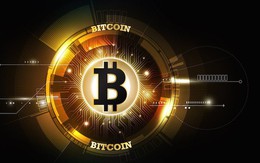 Đầu năm, người Việt mua gần 8.000 'trâu cày' Bitcoin