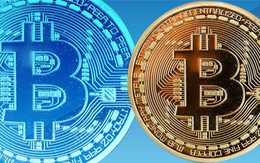 Đầu tư vào Bitcoin là một ý tưởng tồi?