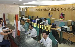 Bán xong “đất vàng” 51 Phan Bội Châu, Agriseco (AGR) thu về gần 289 tỷ đồng