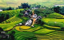 Đầu năm khách du lịch đến Việt Nam tăng vọt