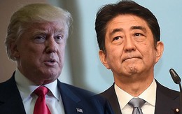Nhật Bản phủ nhận quay lại đàm phán với Mỹ về TPP
