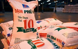 Lợi nhuận năm 2017 sụt giảm 39%, cổ phiếu Đạm Phú Mỹ (DPM) vẫn tăng phi mã