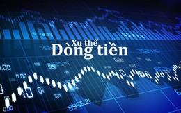 Xu thế dòng tiền: Chuẩn bị cho rung lắc