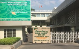 TP.HCM: Công bố sai phạm hơn 2.000ha đất công tại Tổng công ty Nông nghiệp Sài Gòn
