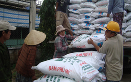 Vật tư Nông nghiệp Nghệ An trở thành cổ đông lớn của Đạm Phú Mỹ