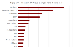 Mạng lưới của các ngân hàng Việt Nam hiện nay ra sao?