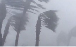 Siêu bão Michael đổ bộ vào Mỹ và Panama với sức tàn phá khủng khiếp