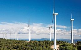 Bà Rịa - Vũng Tàu: Đầu tư dự án nhà máy điện gió hơn 4.000 tỷ đồng