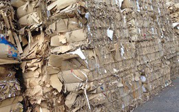 Giấy tái chế và chuyện “con sâu làm rầu nồi canh”