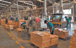 Hội chợ Bifa Wood Vietnam 2018 - Nhân đôi quy mô, mở toang cơ hội