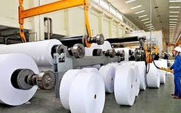 70% giấy tại Việt Nam sản xuất từ phế liệu